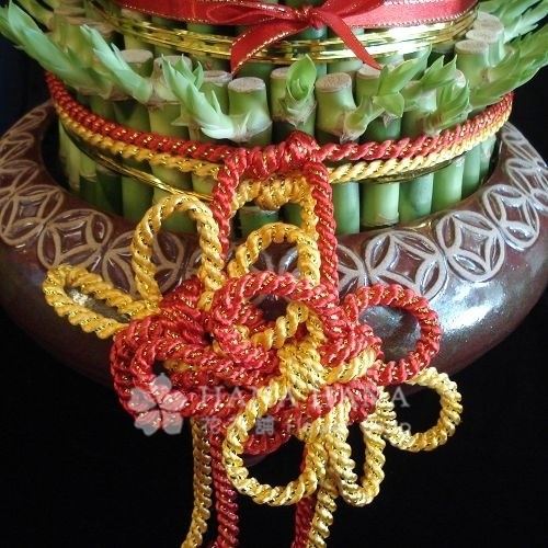 高才得展